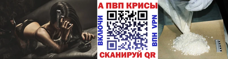 закладка  Багратионовск  APVP СК 