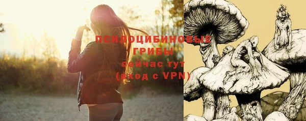 мескалин Арсеньев
