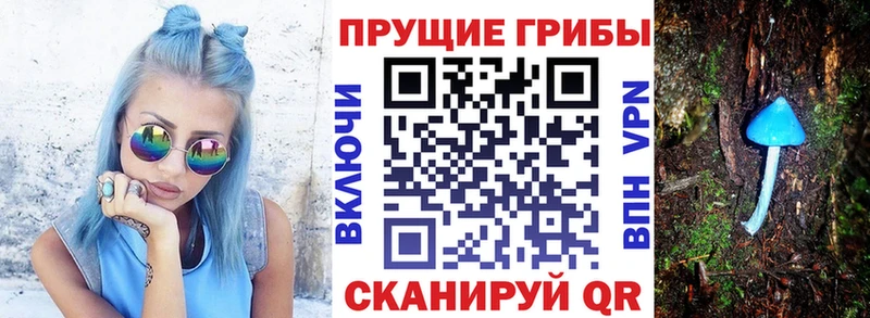 Галлюциногенные грибы Magic Shrooms  купить закладку  Багратионовск 